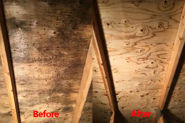 water damage restoration service Crowley